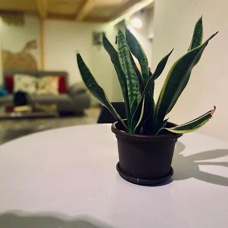 Central Loft *